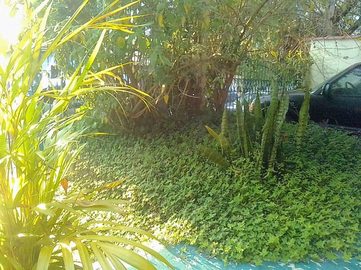 Morada Bemtevi Guest House São José dos Campos Eksteriør billede
